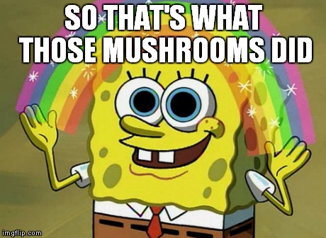 Imagination Spongebob Meme | SO THAT'S WHAT THOSE MUSHROOMS DID | image tagged in memes,imagination spongebob | made w/ Imgflip meme maker