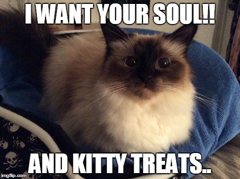 I WANT YOUR SOUL!! AND KITTY TREATS.. | made w/ Imgflip meme maker