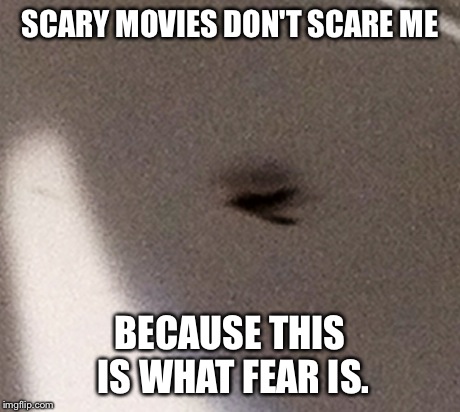 I was just sitting on the bus when I spotted THIS! | SCARY MOVIES DON'T SCARE ME BECAUSE THIS IS WHAT FEAR IS. | image tagged in wasp,fear | made w/ Imgflip meme maker
