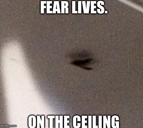 FEAR LIVES. ON THE CEILING | image tagged in fear | made w/ Imgflip meme maker