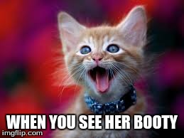when you see her booty | WHEN YOU SEE HER BOOTY | image tagged in kittens,funny memes,memes,funny,too funny,comedy | made w/ Imgflip meme maker