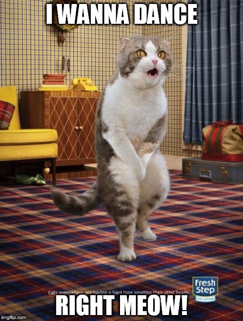 Gotta Go Cat | I WANNA DANCE RIGHT MEOW! | image tagged in memes,gotta go cat | made w/ Imgflip meme maker