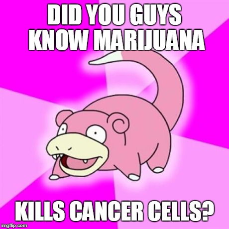 Slowpoke Meme | DID YOU GUYS KNOW MARIJUANA KILLS CANCER CELLS? | image tagged in memes,slowpoke | made w/ Imgflip meme maker