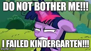 mlp | DO NOT BOTHER ME!!! I FAILED KINDERGARTEN!!! | image tagged in mlp | made w/ Imgflip meme maker