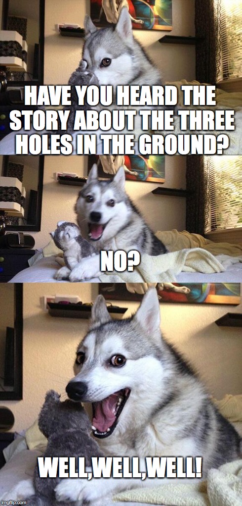 It was a deep story... | HAVE YOU HEARD THE STORY ABOUT THE THREE HOLES IN THE GROUND? NO? WELL,WELL,WELL! | image tagged in memes,bad pun dog | made w/ Imgflip meme maker