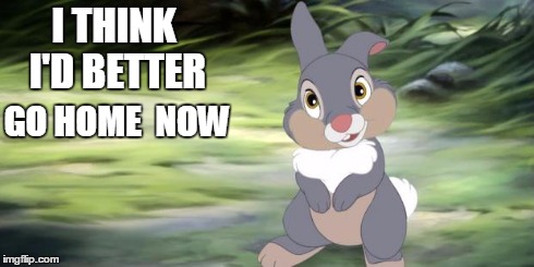 Thumper, Going Home | I THINK I'D BETTER GO HOME NOW | image tagged in going home,thumper,bambi,i think i'd better go home now,tootles,hops away | made w/ Imgflip meme maker