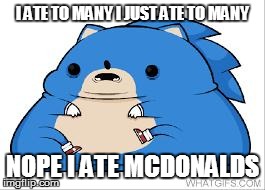 wtf sonic | I ATE TO MANY I JUST ATE TO MANY NOPE I ATE MCDONALDS | image tagged in wtf sonic | made w/ Imgflip meme maker