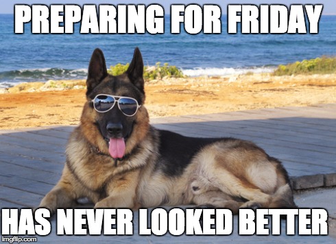 Dog in Sunglasses Friday | PREPARING FOR FRIDAY HAS NEVER LOOKED BETTER | image tagged in friday,preparing for friday,dog in sunglasses | made w/ Imgflip meme maker