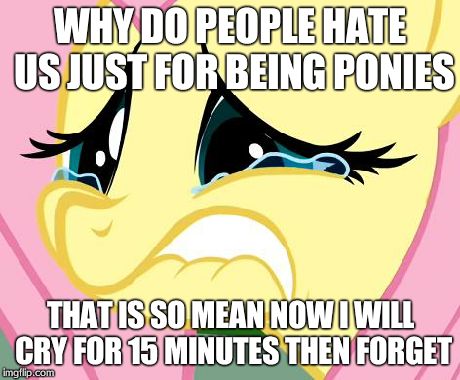 Fluttershy Cry | WHY DO PEOPLE HATE US JUST FOR BEING PONIES THAT IS SO MEAN NOW I WILL CRY FOR 15 MINUTES THEN FORGET | image tagged in fluttershy cry,mlp | made w/ Imgflip meme maker