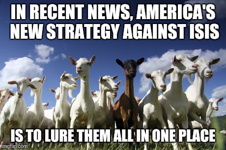 IN RECENT NEWS, AMERICA'S NEW STRATEGY AGAINST ISIS IS TO LURE THEM ALL IN ONE PLACE | image tagged in isis,goats,meme,america | made w/ Imgflip meme maker
