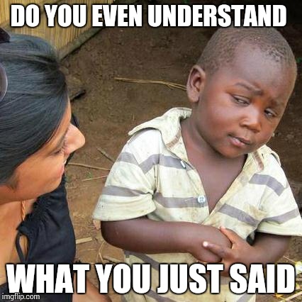 Third World Skeptical Kid Meme | DO YOU EVEN UNDERSTAND WHAT YOU JUST SAID | image tagged in memes,third world skeptical kid | made w/ Imgflip meme maker