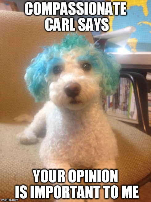 COMPASSIONATE CARL SAYS YOUR OPINION IS IMPORTANT TO ME | image tagged in compassionate carl | made w/ Imgflip meme maker