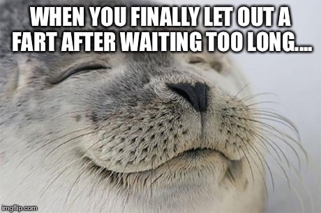 Satisfied Seal | WHEN YOU FINALLY LET OUT A FART AFTER WAITING TOO LONG.... | image tagged in memes,satisfied seal | made w/ Imgflip meme maker