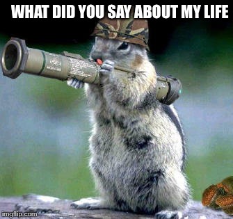 Bazooka Squirrel Meme | WHAT DID YOU SAY ABOUT MY LIFE | image tagged in memes,bazooka squirrel | made w/ Imgflip meme maker