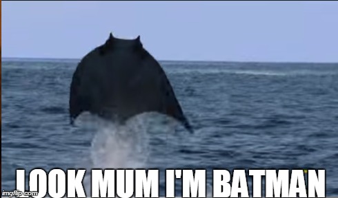 Rays gone wild | LOOK MUM I'M BATMAN | image tagged in batman,ocean,funny | made w/ Imgflip meme maker