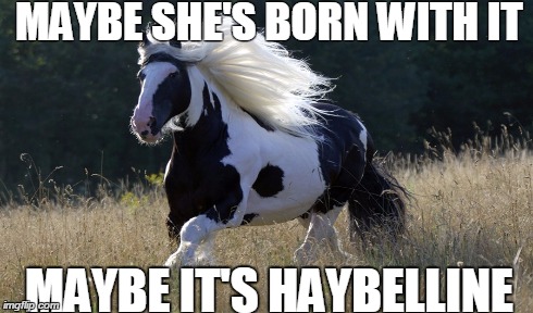 Good hair day | MAYBE SHE'S BORN WITH IT MAYBE IT'S HAYBELLINE | image tagged in horse,hair,big hair,animal,fabulous | made w/ Imgflip meme maker