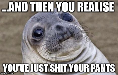 Awkward Moment Sealion Meme | ...AND THEN YOU REALISE YOU'VE JUST SHIT YOUR PANTS | image tagged in memes,awkward moment sealion | made w/ Imgflip meme maker