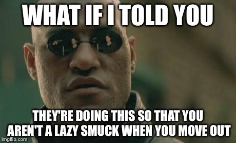 Matrix Morpheus Meme | WHAT IF I TOLD YOU THEY'RE DOING THIS SO THAT YOU AREN'T A LAZY SMUCK WHEN YOU MOVE OUT | image tagged in memes,matrix morpheus | made w/ Imgflip meme maker