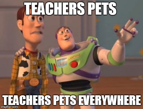 X, X Everywhere Meme | TEACHERS PETS TEACHERS PETS EVERYWHERE | image tagged in memes,x x everywhere | made w/ Imgflip meme maker