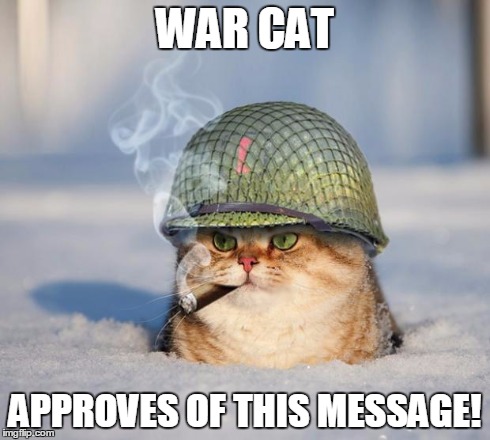 War Cat | WAR CAT APPROVES OF THIS MESSAGE! | image tagged in war cat,approves | made w/ Imgflip meme maker