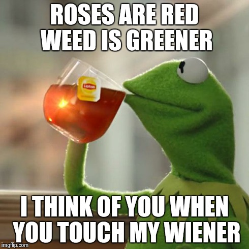 But That's None Of My Business | ROSES ARE RED WEED IS GREENER I THINK OF YOU WHEN YOU TOUCH MY WIENER | image tagged in memes,but thats none of my business,kermit the frog | made w/ Imgflip meme maker