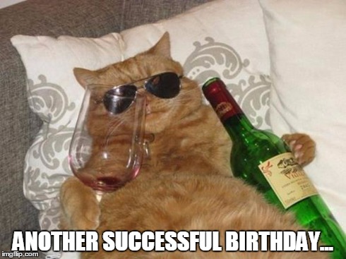 Funny Cat Birthday | ANOTHER SUCCESSFUL BIRTHDAY... | image tagged in funny cat birthday | made w/ Imgflip meme maker