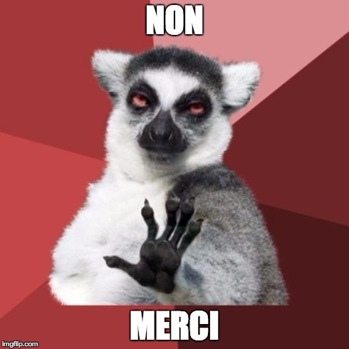 Chill Out Lemur Meme | NON MERCI | image tagged in memes,chill out lemur | made w/ Imgflip meme maker