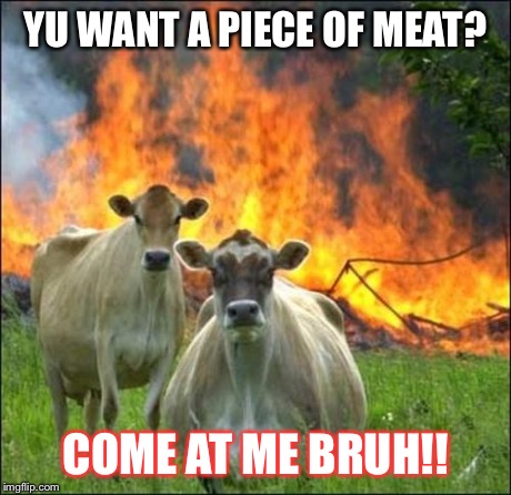 Piece of meat | YU WANT A PIECE OF MEAT? COME AT ME BRUH!! | image tagged in memes,evil cows | made w/ Imgflip meme maker