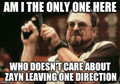 Am I The Only One Around Here | AM I THE ONLY ONE HERE WHO DOESN'T CARE ABOUT ZAYN LEAVING ONE DIRECTION | image tagged in memes,am i the only one around here | made w/ Imgflip meme maker