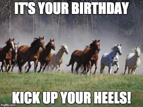 IT'S YOUR BIRTHDAY KICK UP YOUR HEELS! | image tagged in wild horses | made w/ Imgflip meme maker