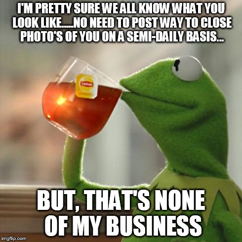 But That's None Of My Business Meme | I'M PRETTY SURE WE ALL KNOW WHAT YOU LOOK LIKE.....NO NEED TO POST WAY TO CLOSE PHOTO'S OF YOU ON A SEMI-DAILY BASIS... BUT, THAT'S NONE OF  | image tagged in memes,but thats none of my business,kermit the frog | made w/ Imgflip meme maker