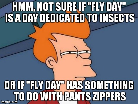 Futurama Fry Meme | HMM, NOT SURE IF "FLY DAY" IS A DAY DEDICATED TO INSECTS OR IF "FLY DAY" HAS SOMETHING TO DO WITH PANTS ZIPPERS | image tagged in memes,futurama fry | made w/ Imgflip meme maker