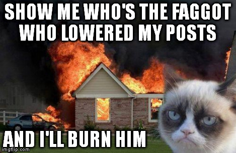 Burn Kitty | SHOW ME WHO'S THE F*GGOT WHO LOWERED MY POSTS AND I'LL BURN HIM | image tagged in burn kitty | made w/ Imgflip meme maker