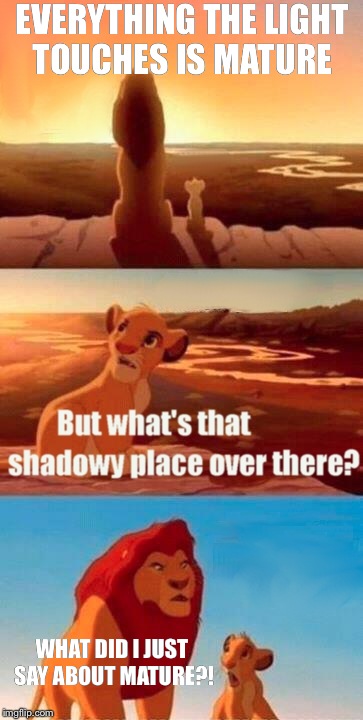 Simba Shadowy Place Meme | EVERYTHING THE LIGHT TOUCHES IS MATURE WHAT DID I JUST SAY ABOUT MATURE?! | image tagged in memes,simba shadowy place | made w/ Imgflip meme maker