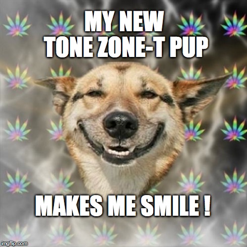 Stoner Dog Meme | MY NEW       TONE ZONE-T PUP MAKES ME SMILE ! | image tagged in memes,stoner dog | made w/ Imgflip meme maker