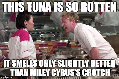 Gordon Ramsey | THIS TUNA IS SO ROTTEN IT SMELLS ONLY SLIGHTLY BETTER THAN MILEY CYRUS'S CROTCH | image tagged in gordon ramsey | made w/ Imgflip meme maker