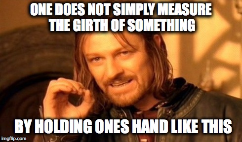 One Does Not Simply | ONE DOES NOT SIMPLY MEASURE THE GIRTH OF SOMETHING BY HOLDING ONES HAND LIKE THIS | image tagged in memes,one does not simply | made w/ Imgflip meme maker
