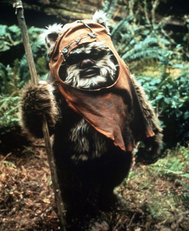 Ewok Blank Meme Template