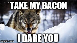 Hands off my bacon! | TAKE MY BACON I DARE YOU | image tagged in bacon,wolf | made w/ Imgflip meme maker