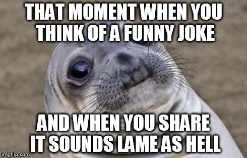 Awkward Moment Sealion | THAT MOMENT WHEN YOU THINK OF A FUNNY JOKE AND WHEN YOU SHARE IT SOUNDS LAME AS HELL | image tagged in memes,awkward moment sealion | made w/ Imgflip meme maker