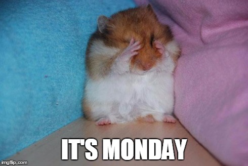 crying hamster | IT'S MONDAY | image tagged in crying hamster | made w/ Imgflip meme maker