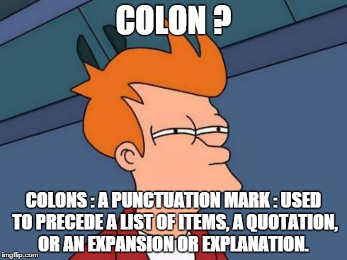 Futurama Fry Meme | COLON ? COLONS : A PUNCTUATION MARK : USED TO PRECEDE A LIST OF ITEMS, A QUOTATION, OR AN EXPANSION OR EXPLANATION. | image tagged in memes,futurama fry | made w/ Imgflip meme maker