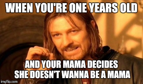One Does Not Simply Meme | WHEN YOU'RE ONE YEARS OLD AND YOUR MAMA DECIDES SHE DOESN'T WANNA BE A MAMA | image tagged in memes,one does not simply | made w/ Imgflip meme maker