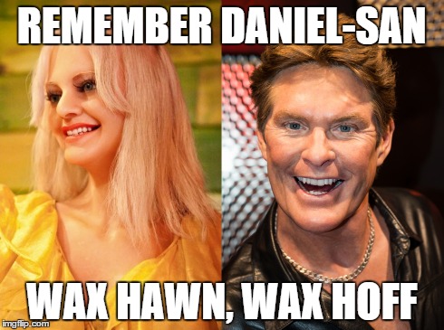 REMEMBER DANIEL-SAN WAX HAWN, WAX HOFF | image tagged in goldie hawn,david hasselhoff,karate kid,puns | made w/ Imgflip meme maker