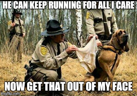 I quit! | HE CAN KEEP RUNNING FOR ALL I CARE NOW GET THAT OUT OF MY FACE | image tagged in dog,memes,funny,gross,police | made w/ Imgflip meme maker
