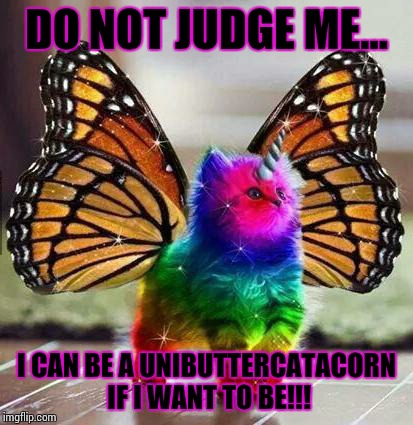 Rainbow unicorn butterfly kitten | DO NOT JUDGE ME... I CAN BE A UNIBUTTERCATACORN IF I WANT TO BE!!! | image tagged in rainbow unicorn butterfly kitten | made w/ Imgflip meme maker