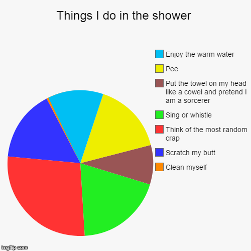 image tagged in funny,pie charts,pee,shower,random | made w/ Imgflip chart maker