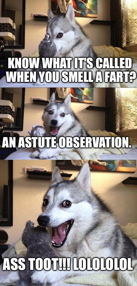 Bad Pun Dog Meme | KNOW WHAT IT'S CALLED WHEN YOU SMELL A FART? AN ASTUTE OBSERVATION. ASS TOOT!!! LOLOLOLOL | image tagged in memes,bad pun dog | made w/ Imgflip meme maker