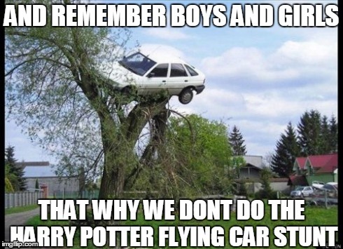 image tagged in harry potter,tree | made w/ Imgflip meme maker