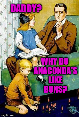 Daddy? | DADDY? WHY DO ANACONDA'S LIKE BUNS? | image tagged in daddy | made w/ Imgflip meme maker